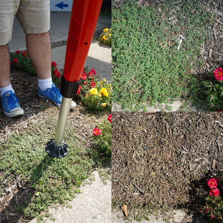 bRNGolweme1dXVpLvNxJu