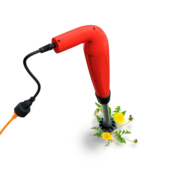 4hjMmx6FDTezWXYxT7RvOg