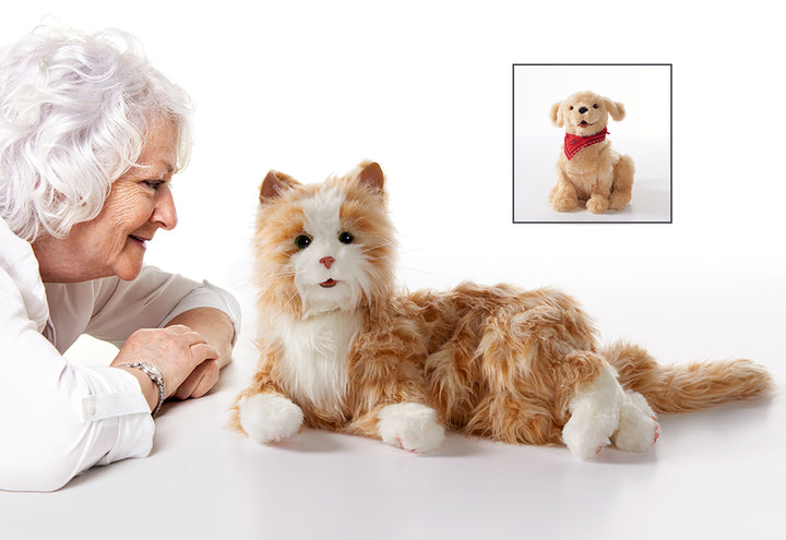 6paGb6dMUPjZGXeXjIsu3U