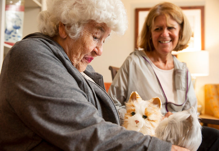 1b08w6mVVRHV43NeNgSkBb