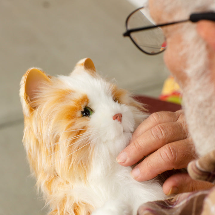 3nsxmvWShzFTFWfqCHQEum