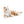 6tY7UsELDRO7cSJgPXJtx3