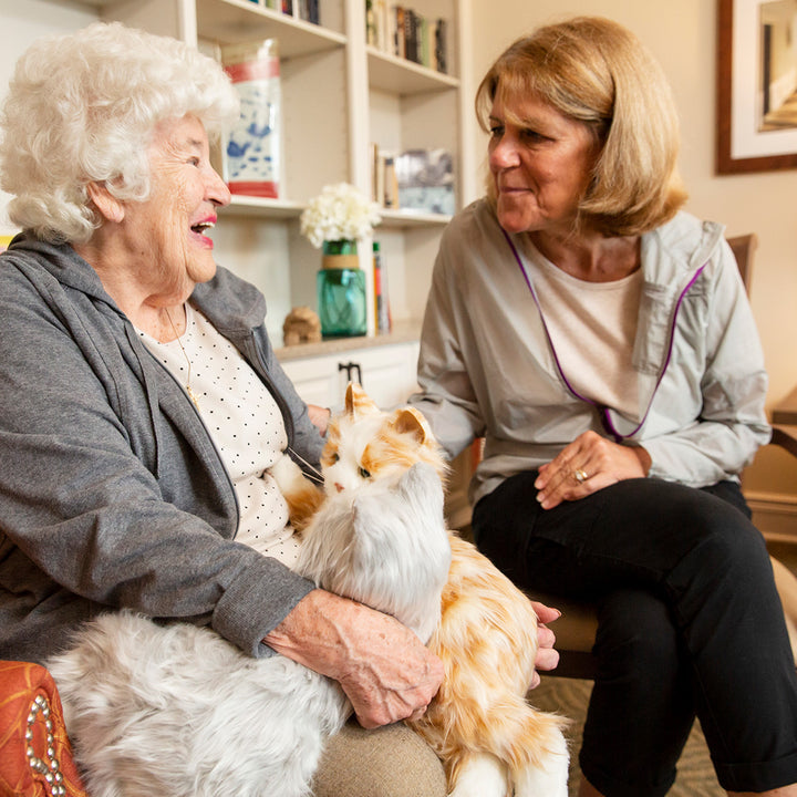 5H4V77ZuQu9nNKo4ew6fxu