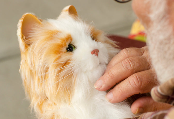 2PRrOId0rbKivdAfjsbZPu