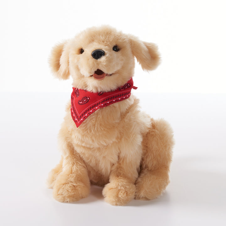 1T0gDMFruW4HqT7h4RvAkf