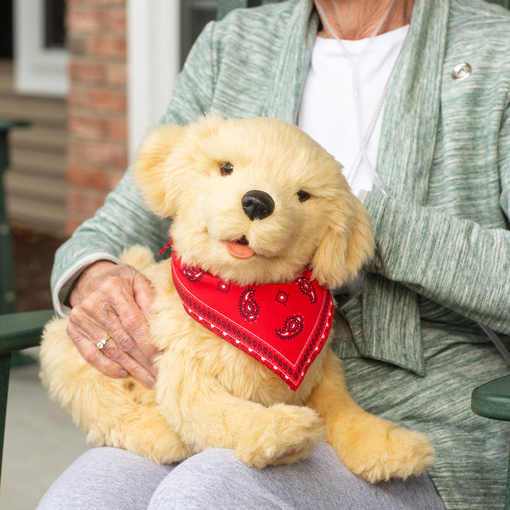 5iZ5C1qqtMeSuVPcXxdGkc