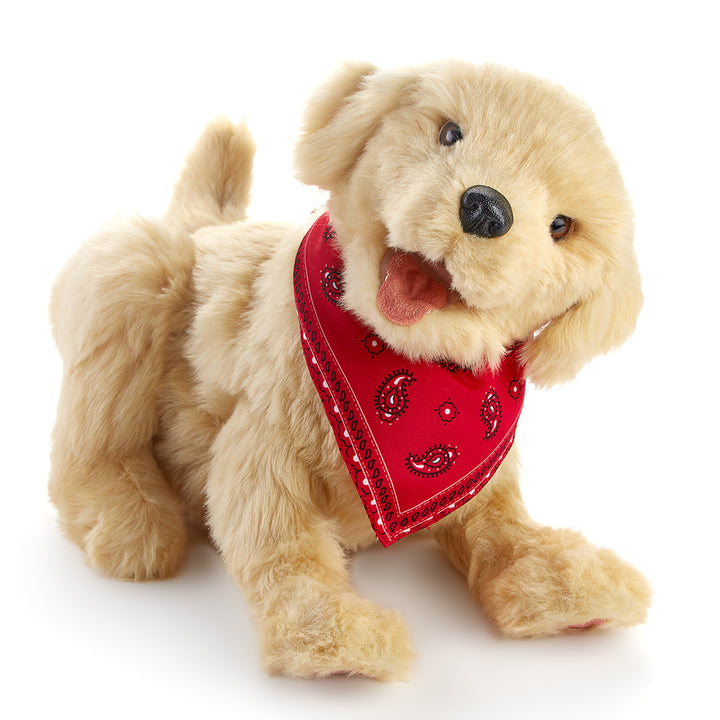 45VC1u5udGazsbJwDhPVxy