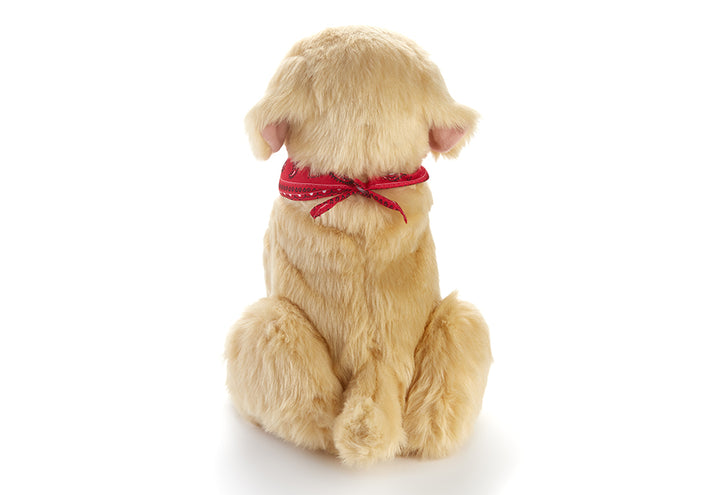 6EpBRpf0iZxIDIgtsKx6qx