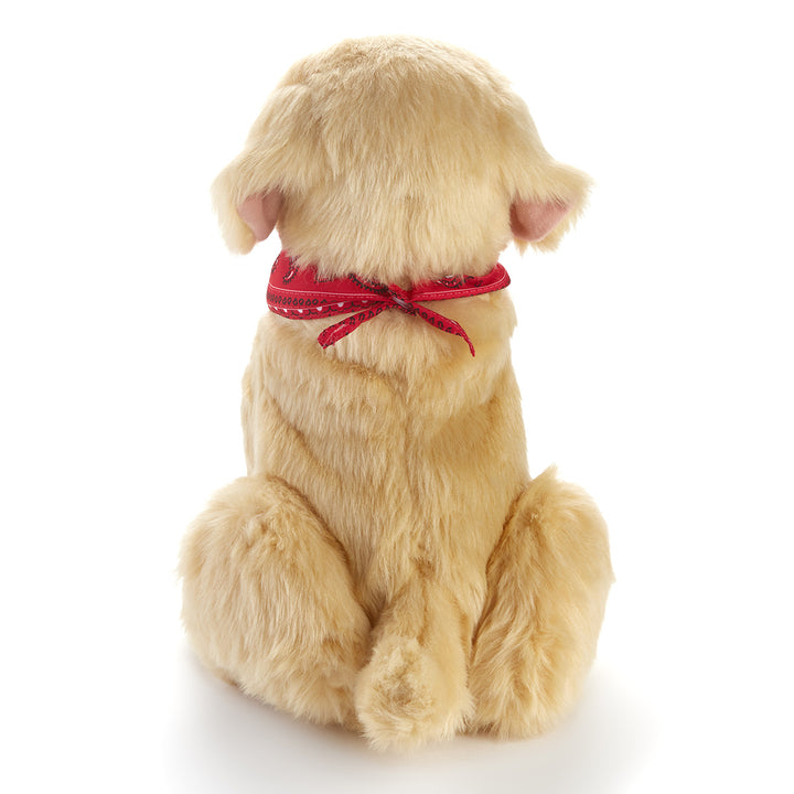 1TxdWPVvNQgDCTQS2gLDXH