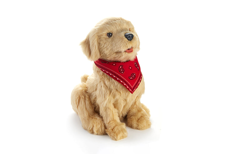 2Pe21c2eNK58L1gaTzeN5P