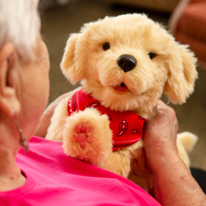 01qsHm1PfCvBJ19a2ym9X6