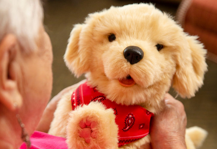 6R033qm7OyMccwHDOCwT9l