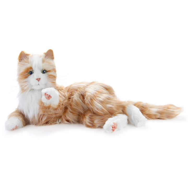 7f4I3BleriXgIr3al0KQsD