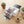 Smartphone Photo Printer by Sharper Image