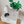 1yaGs9zZA4fLxmGWHQzR8c