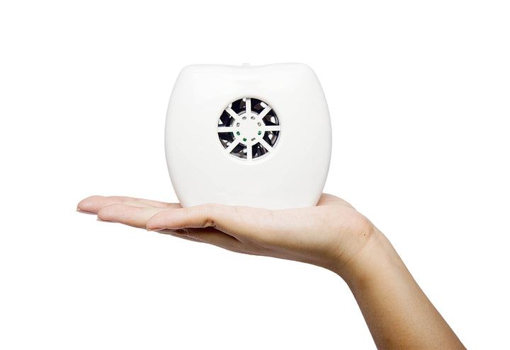 2NK9hEsNBuFBf4kItUx6kx