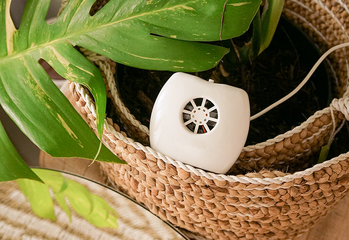 2SRb6fJsGFsvQPibyj3YLi