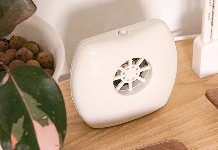 3yBsB6kQHWwTUxEfr8uKzO