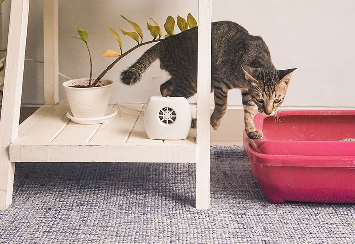 7muBGHjhheYMrhjVtsvggv