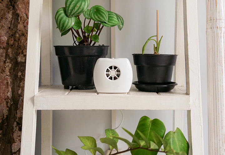 4VLRuqzUCQf1Yc1ta7GNLd