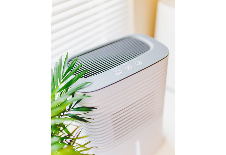 4hMetZeybonOzdiBgrsAhY