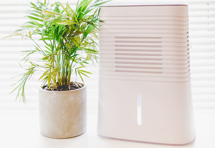 6RVa5PStHvg9FKr94h3FbN