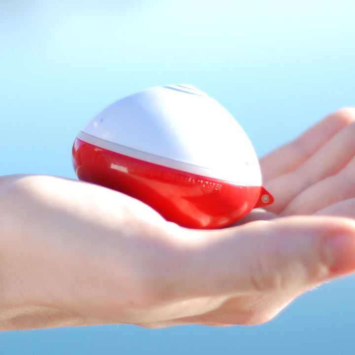 22DrPxH3zWxoUGrE218oxk