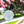 3w9ovEyqIzMGM2lsLr6Urp