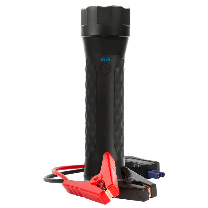 1tqgRpFHHc74epIKru4Ybv