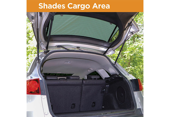 1DwRume8tYpUA6yinIvi6X