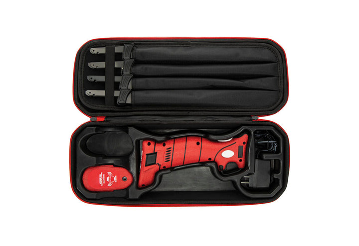 5ZSfZLVWU6LiSAwfgv0EZ1