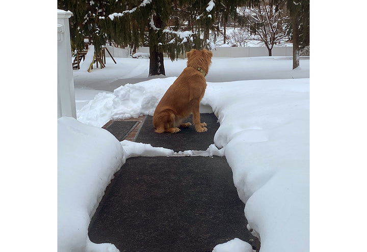 70I8ZGe1tf70CdBjb1XxXX