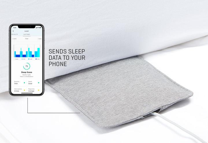 1HZXpsh8LdBvq573dMRHGu