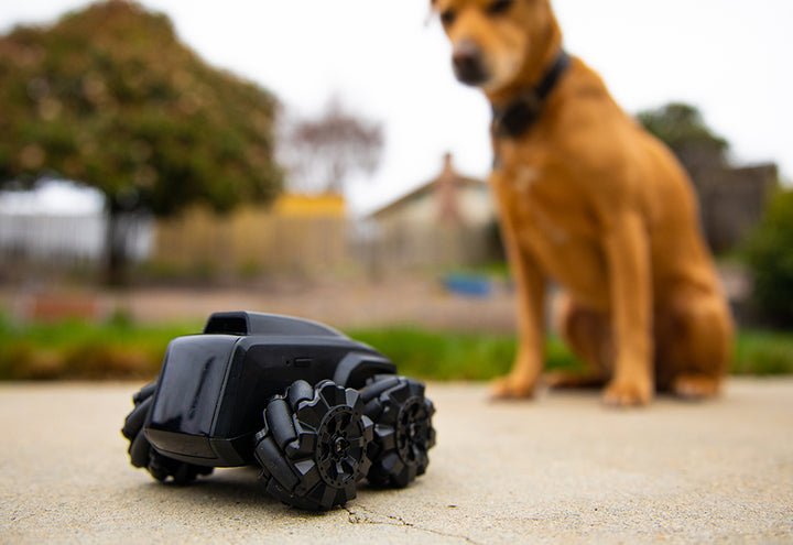 7FX57Fd1tOkPApfBo5n5Yl