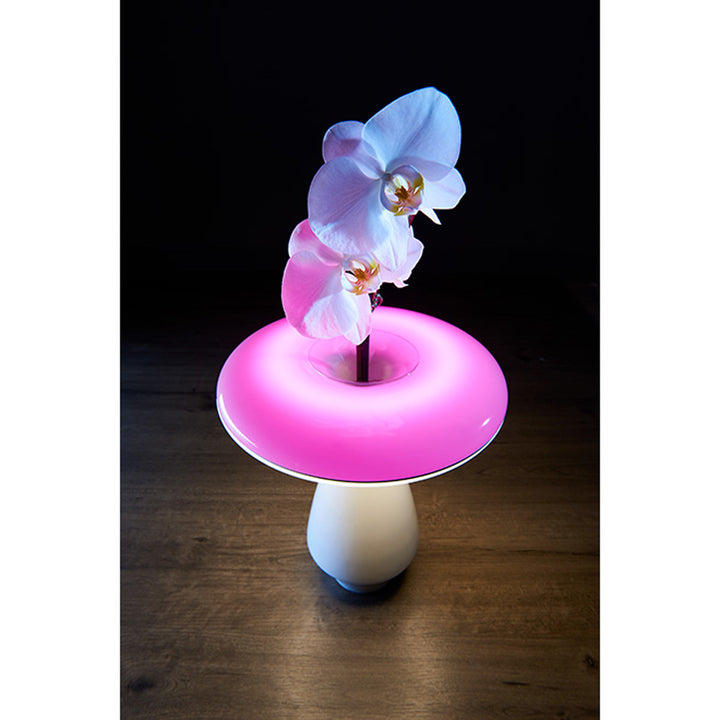 LED Ceramic Flower Vase