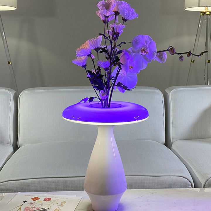 LED Ceramic Flower Vase