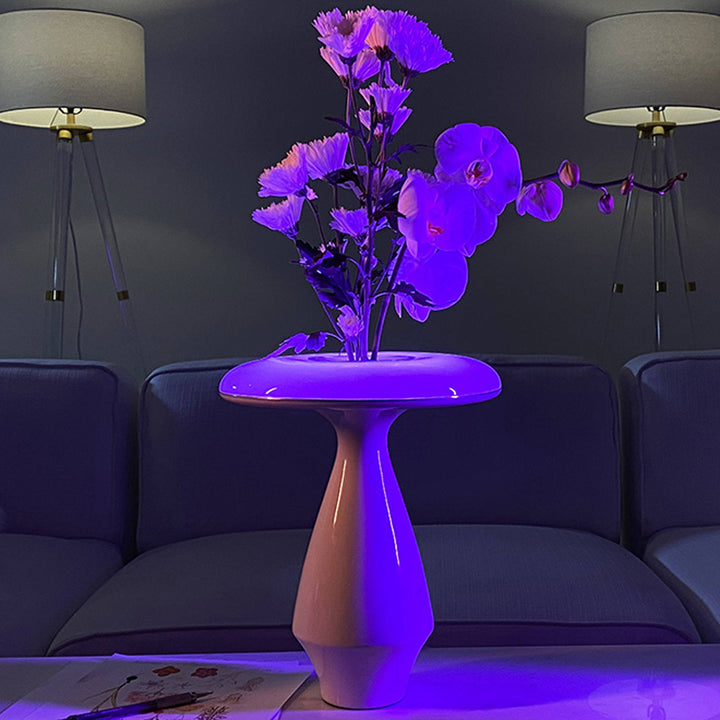 LED Ceramic Flower Vase