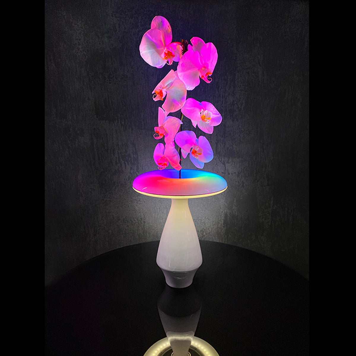LED Ceramic Flower Vase – Sharper Image LED Ceramic Flower Vase – Sharper Image