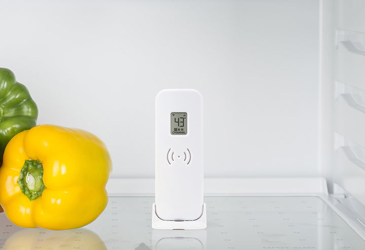 2dpFbRjPVOoguMEUQm2ay