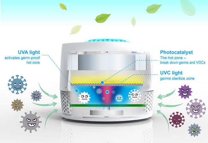 5eNvBLUwbz4vHtIowhRrxA