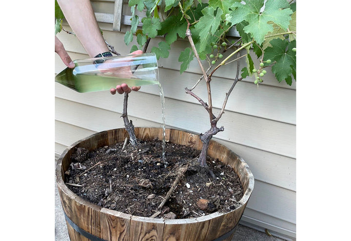 5758qa0hSfzzuMTSyanI4t