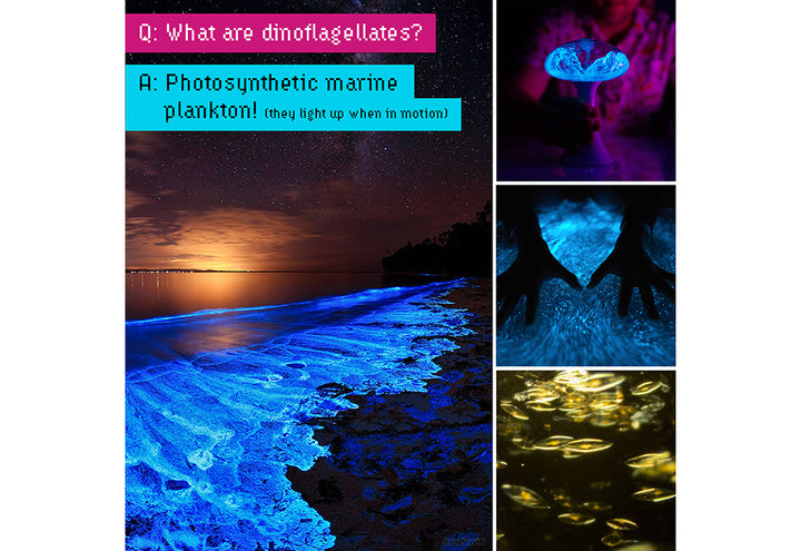 3s3UKF33aZX5ijfuqswy6C