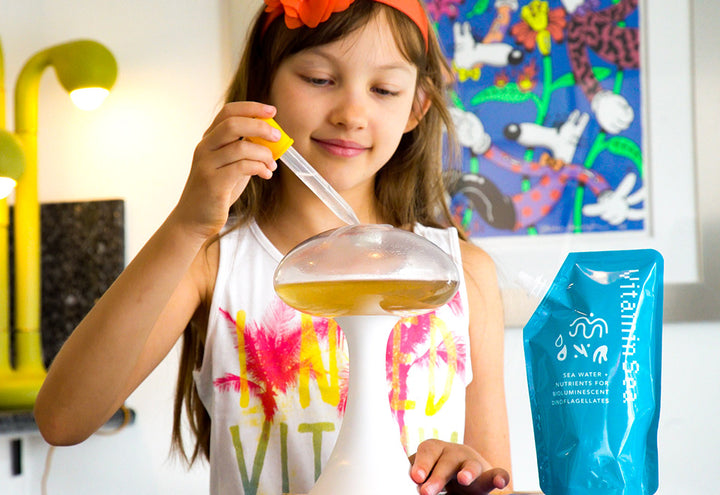 7x44YD87NKgCIpPjV2he5O