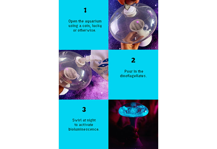 6GzRPeSlPinuFLcYVUjJl5