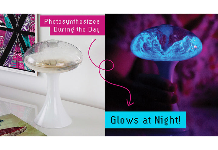 5xnRDUdM4qr43xJJMDCubU