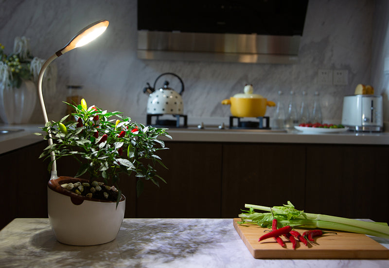 Self-Watering Planter with LED Grow Light
