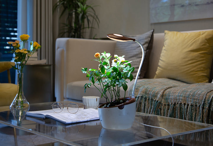 4fQCZplAE7jjMjd5cJcaPh