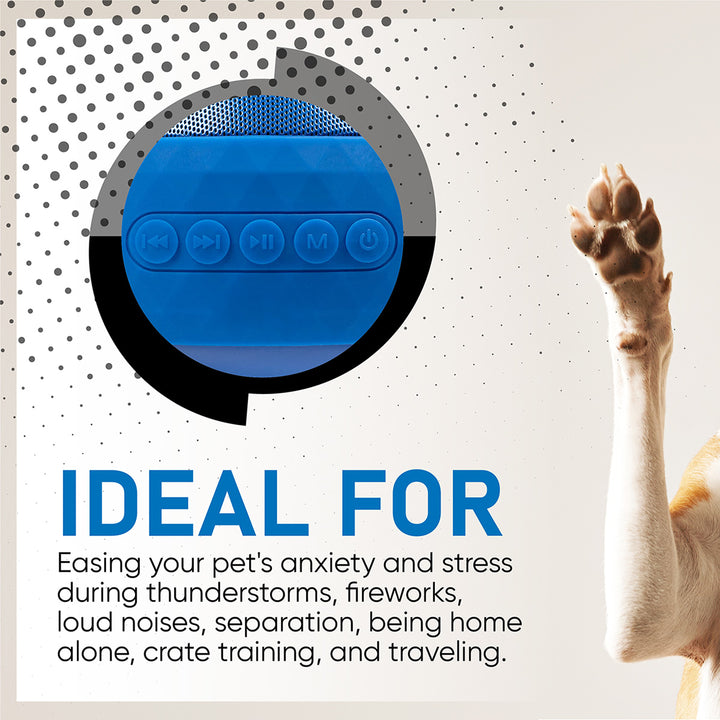 1GAXDpwmrNiCCWXGmdKxx1