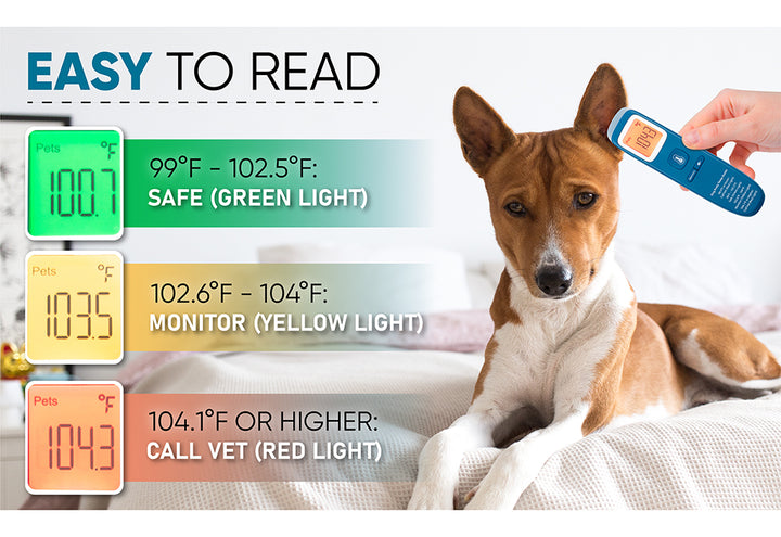 4gr9K6wDD4roWnaNSZA8nt