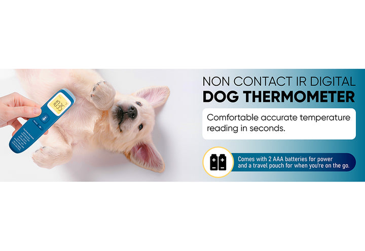 PUjEP6hyU08aEmvYIt0O4